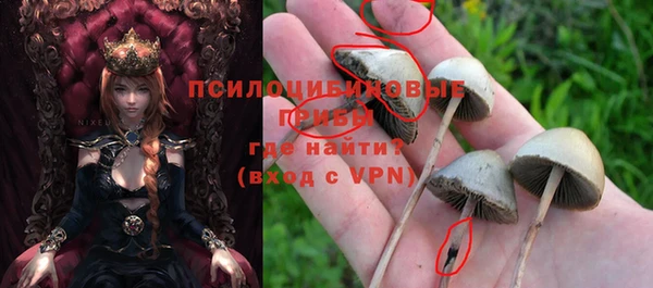 прущие крисы Армянск